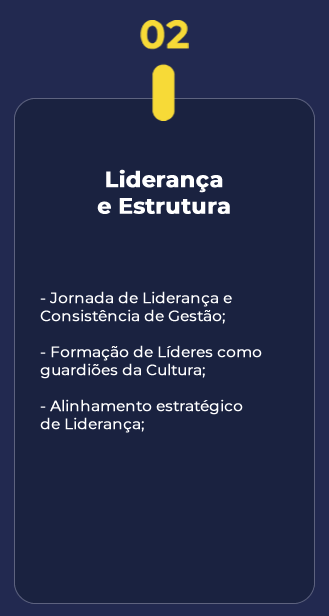 5verticais2